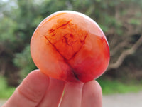 Polished Carnelian Palm Stones x 12 From Madagascar