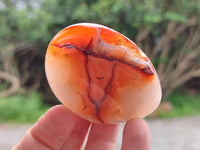 Polished Carnelian Palm Stones x 12 From Madagascar
