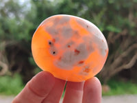 Polished Carnelian Palm Stones x 12 From Madagascar