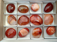 Polished Carnelian Palm Stones x 12 From Madagascar