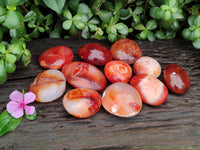 Polished Carnelian Palm Stones x 12 From Madagascar