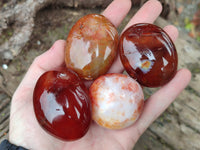 Polished Carnelian Palm Stones x 12 From Madagascar