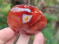 Polished Carnelian Palm Stones x 12 From Madagascar