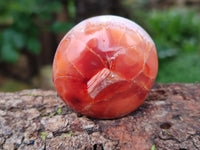 Polished Carnelian Palm Stones x 12 From Madagascar
