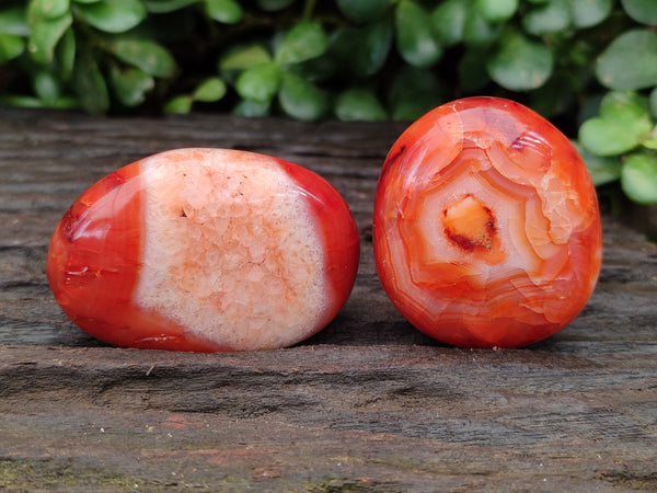 Polished Carnelian Palm Stones x 12 From Madagascar