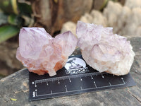 Natural Dark Amethyst Spirit Quartz Clusters x 12 From Boekenhouthoek, South Africa - Toprock Gemstones and Minerals 