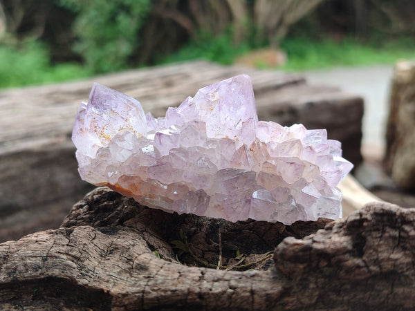 Natural Dark Amethyst Spirit Quartz Clusters x 12 From Boekenhouthoek, South Africa - Toprock Gemstones and Minerals 
