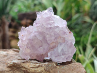 Natural Dark Amethyst Spirit Quartz Clusters x 12 From Boekenhouthoek, South Africa - Toprock Gemstones and Minerals 