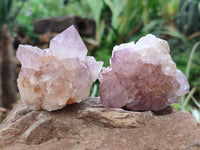Natural Dark Amethyst Spirit Quartz Clusters x 12 From Boekenhouthoek, South Africa - Toprock Gemstones and Minerals 