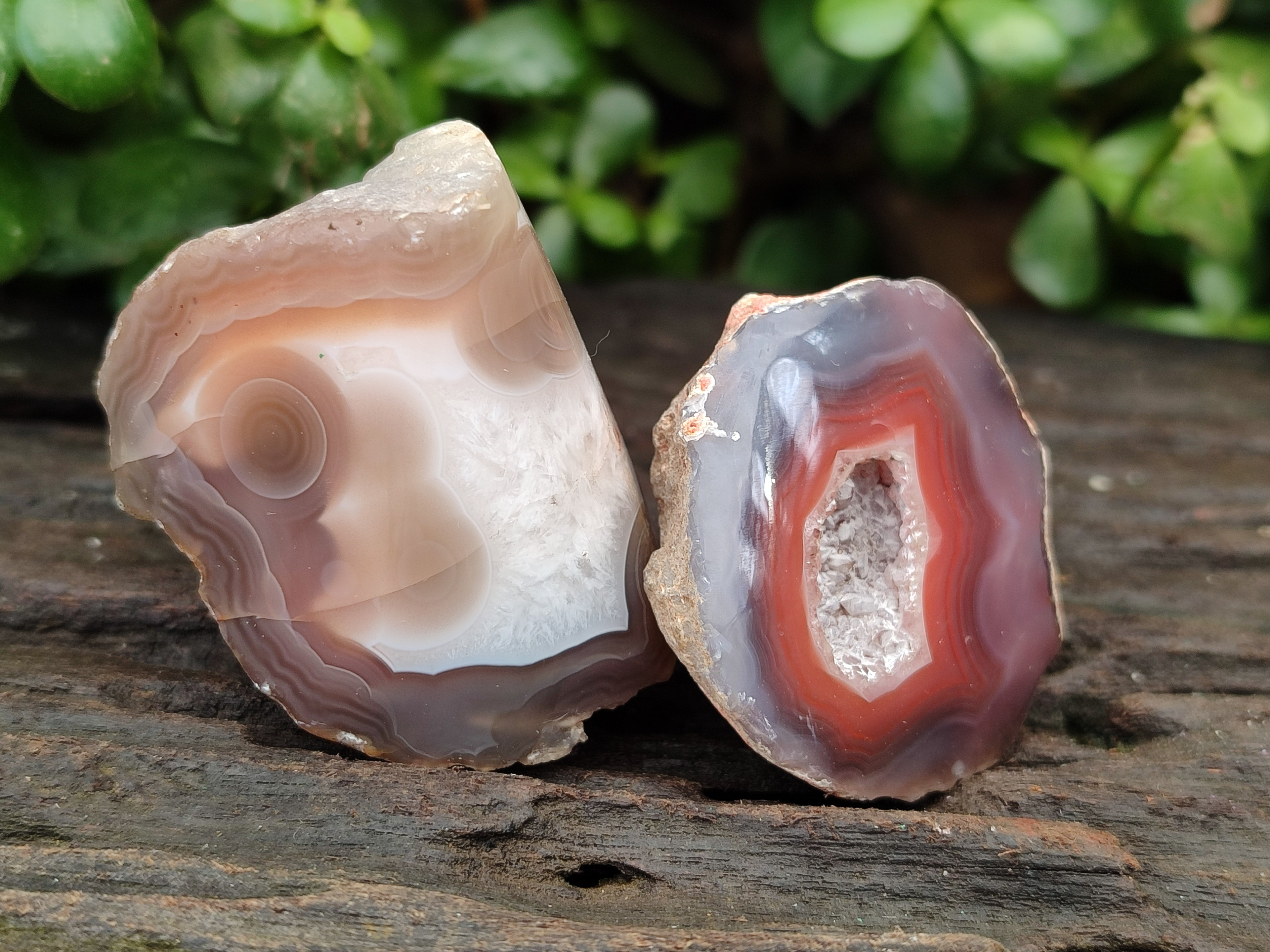 Polished On One Side Red Sashe River Agate Nodules x 20 From Zimbabwe - Toprock Gemstones and Minerals 