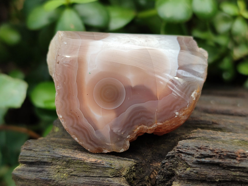 Polished On One Side Red Sashe River Agate Nodules x 20 From Zimbabwe - Toprock Gemstones and Minerals 