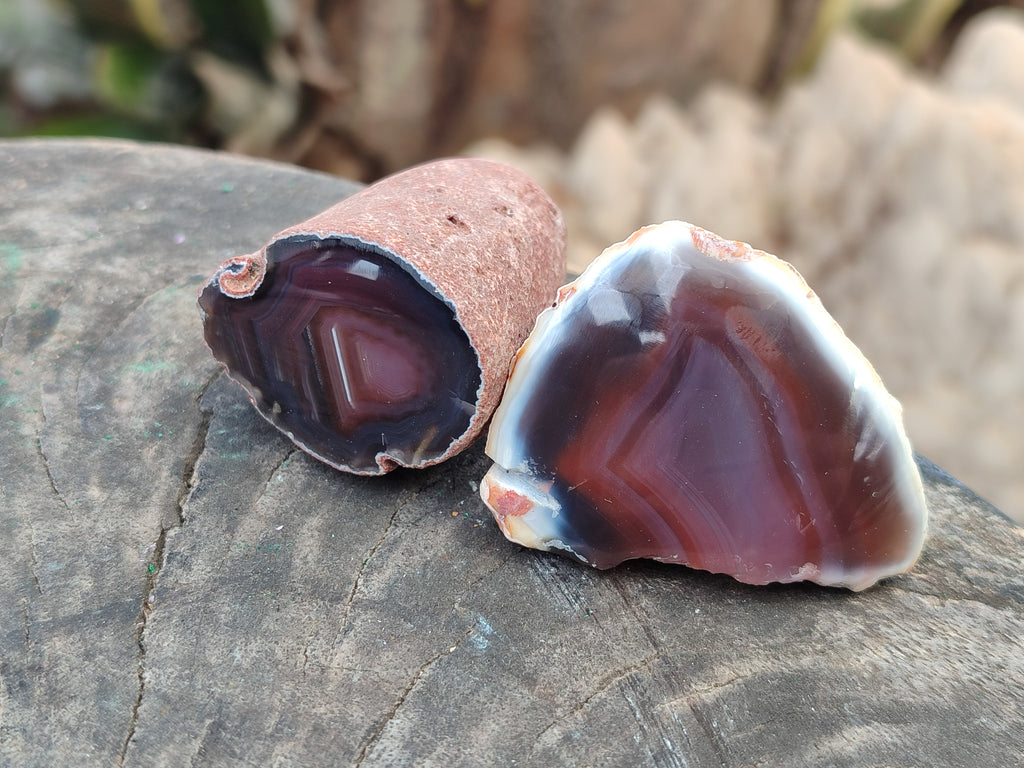 Polished On One Side Red Sashe River Agate Nodules x 20 From Zimbabwe - Toprock Gemstones and Minerals 