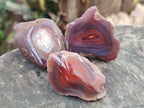 Polished On One Side Red Sashe River Agate Nodules x 20 From Zimbabwe - Toprock Gemstones and Minerals 