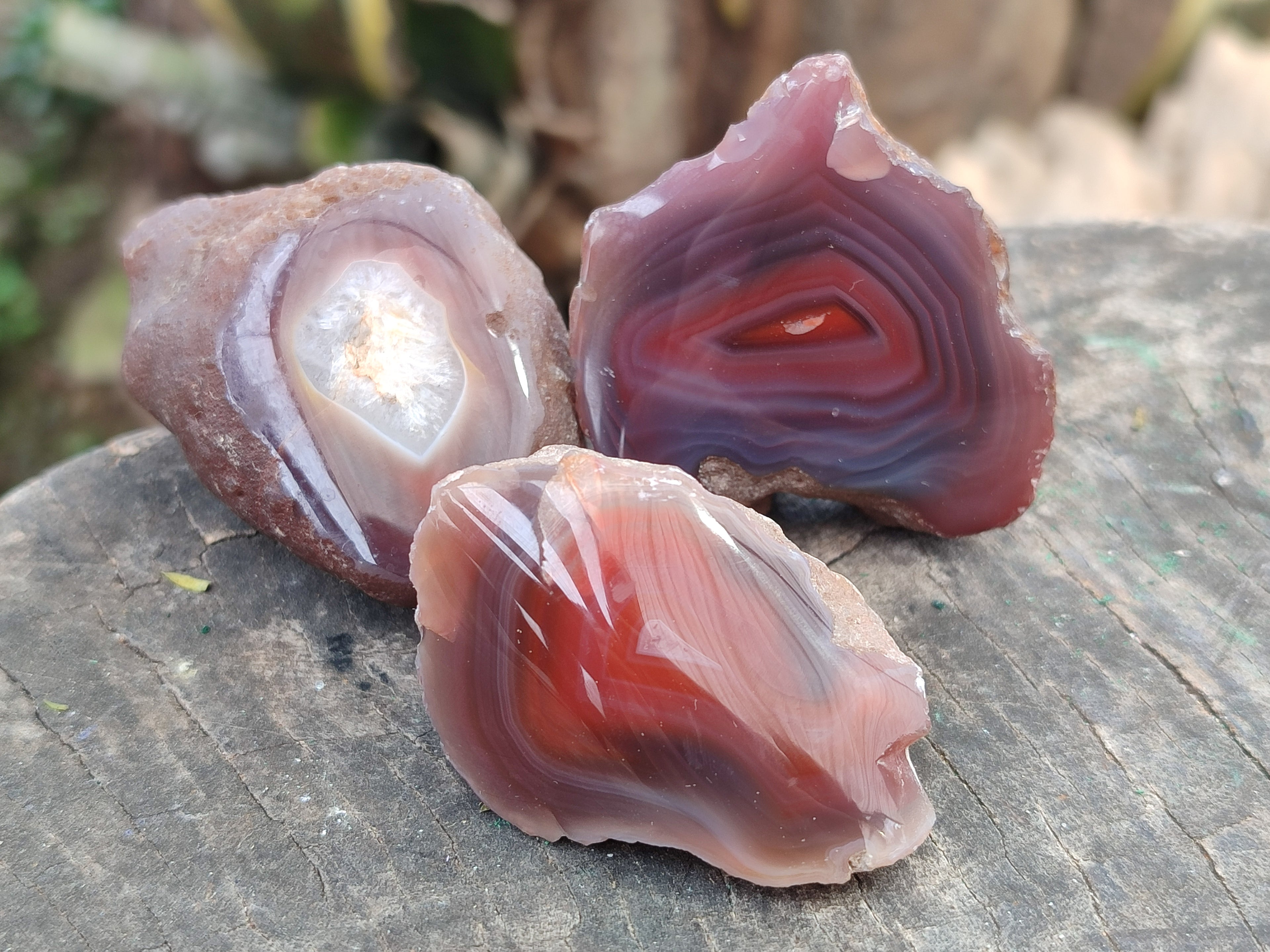 Polished On One Side Red Sashe River Agate Nodules x 20 From Zimbabwe - Toprock Gemstones and Minerals 