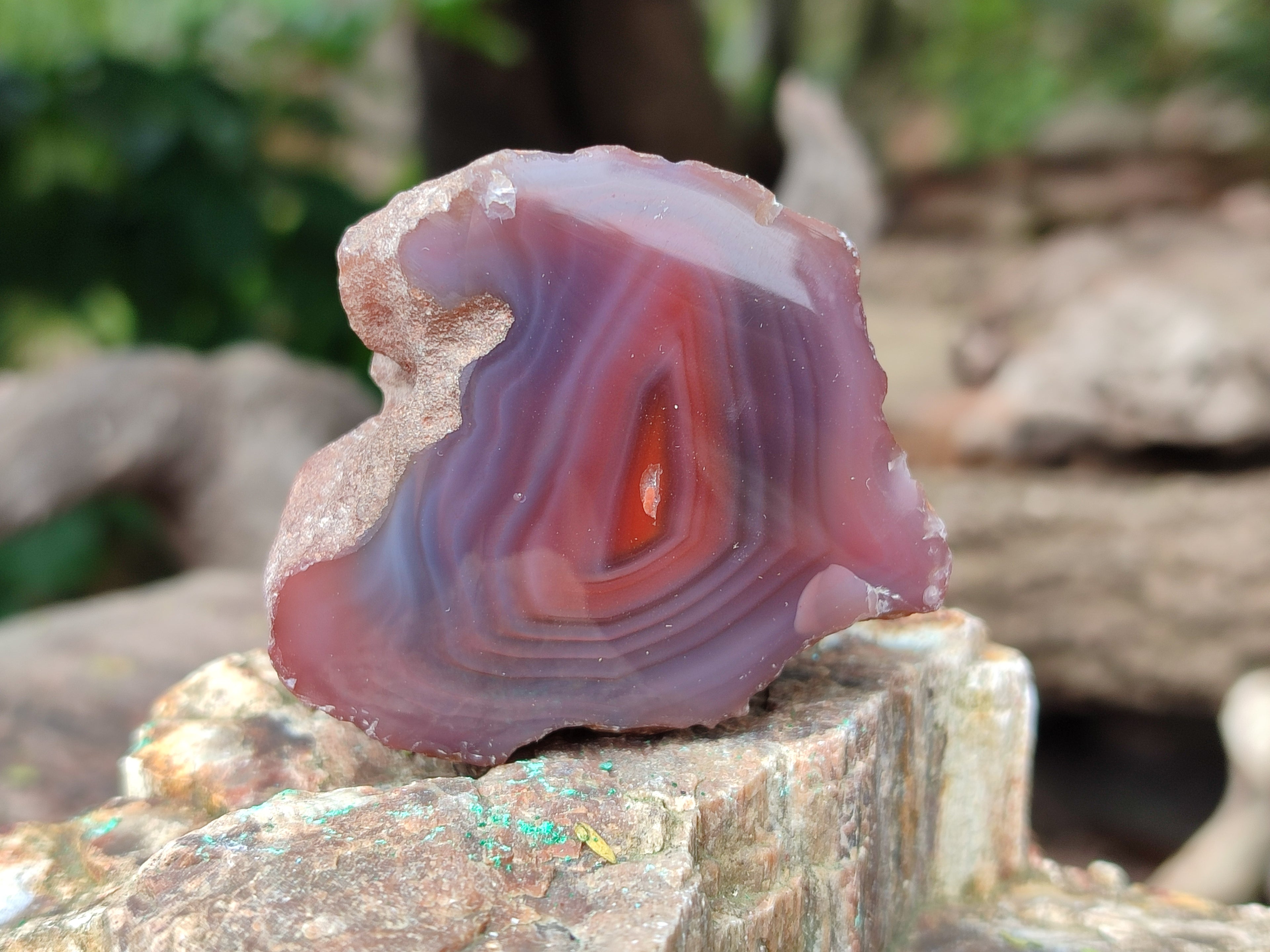 Polished On One Side Red Sashe River Agate Nodules x 20 From Zimbabwe - Toprock Gemstones and Minerals 