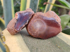 Polished On One Side Red Sashe River Agate Nodules x 20 From Zimbabwe - Toprock Gemstones and Minerals 
