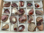 Polished On One Side Red Sashe River Agate Nodules x 20 From Zimbabwe - Toprock Gemstones and Minerals 