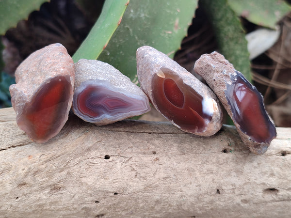 Polished On One Side Red Sashe River Agate Nodules x 20 From Zimbabwe