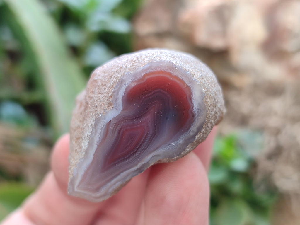 Polished On One Side Red Sashe River Agate Nodules x 20 From Zimbabwe - Toprock Gemstones and Minerals 