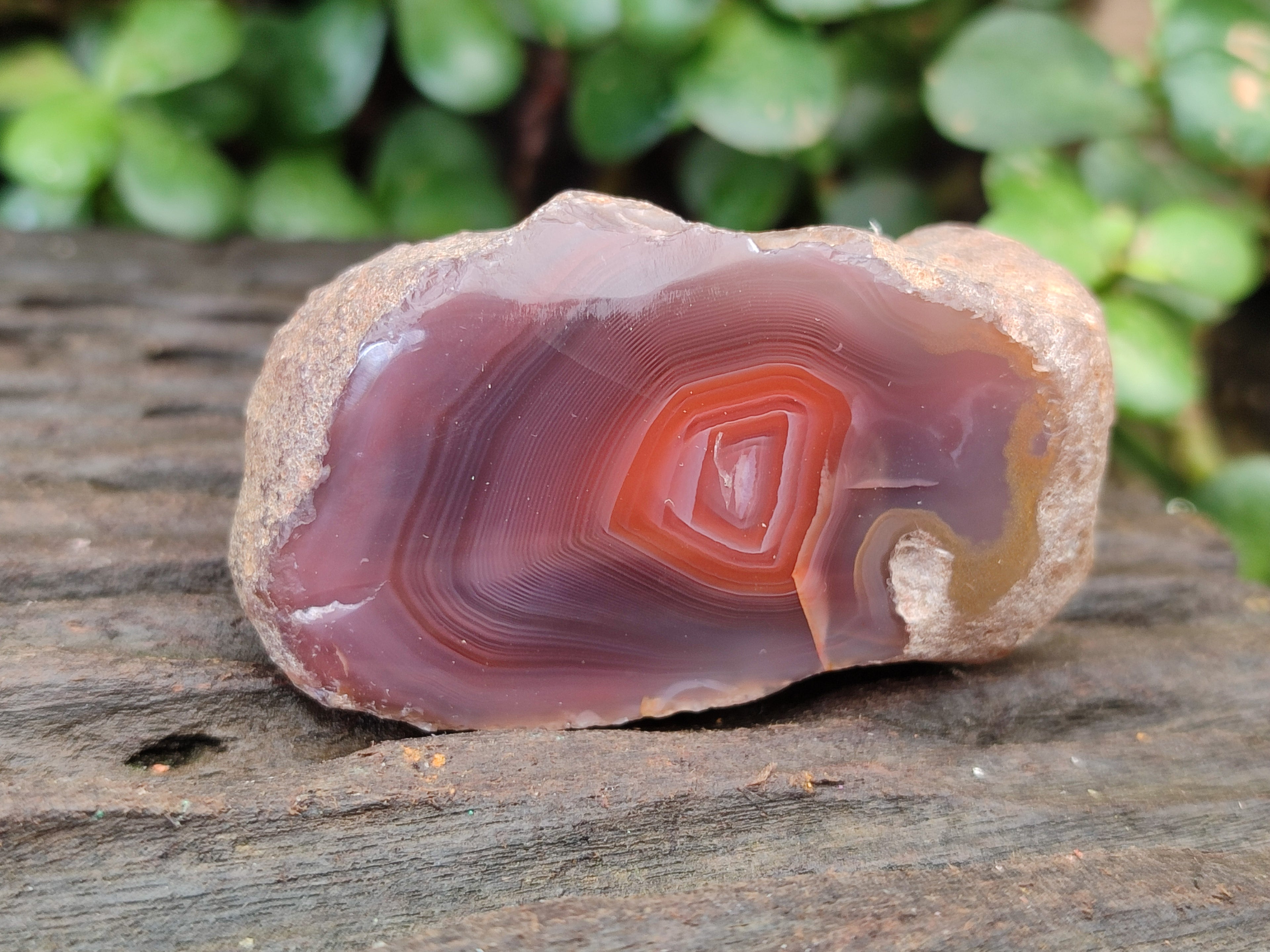 Polished On One Side Red Sashe River Agate Nodules x 20 From Zimbabwe - Toprock Gemstones and Minerals 
