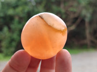 Polished Orange Twist Calcite Leaf Palm Stones x 25 From Maevantanana, Madagascar