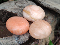 Polished Orange Twist Calcite Leaf Palm Stones x 25 From Maevantanana, Madagascar