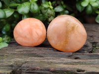 Polished Orange Twist Calcite Leaf Palm Stones x 25 From Maevantanana, Madagascar