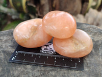 Polished Orange Twist Calcite Leaf Palm Stones x 25 From Maevantanana, Madagascar