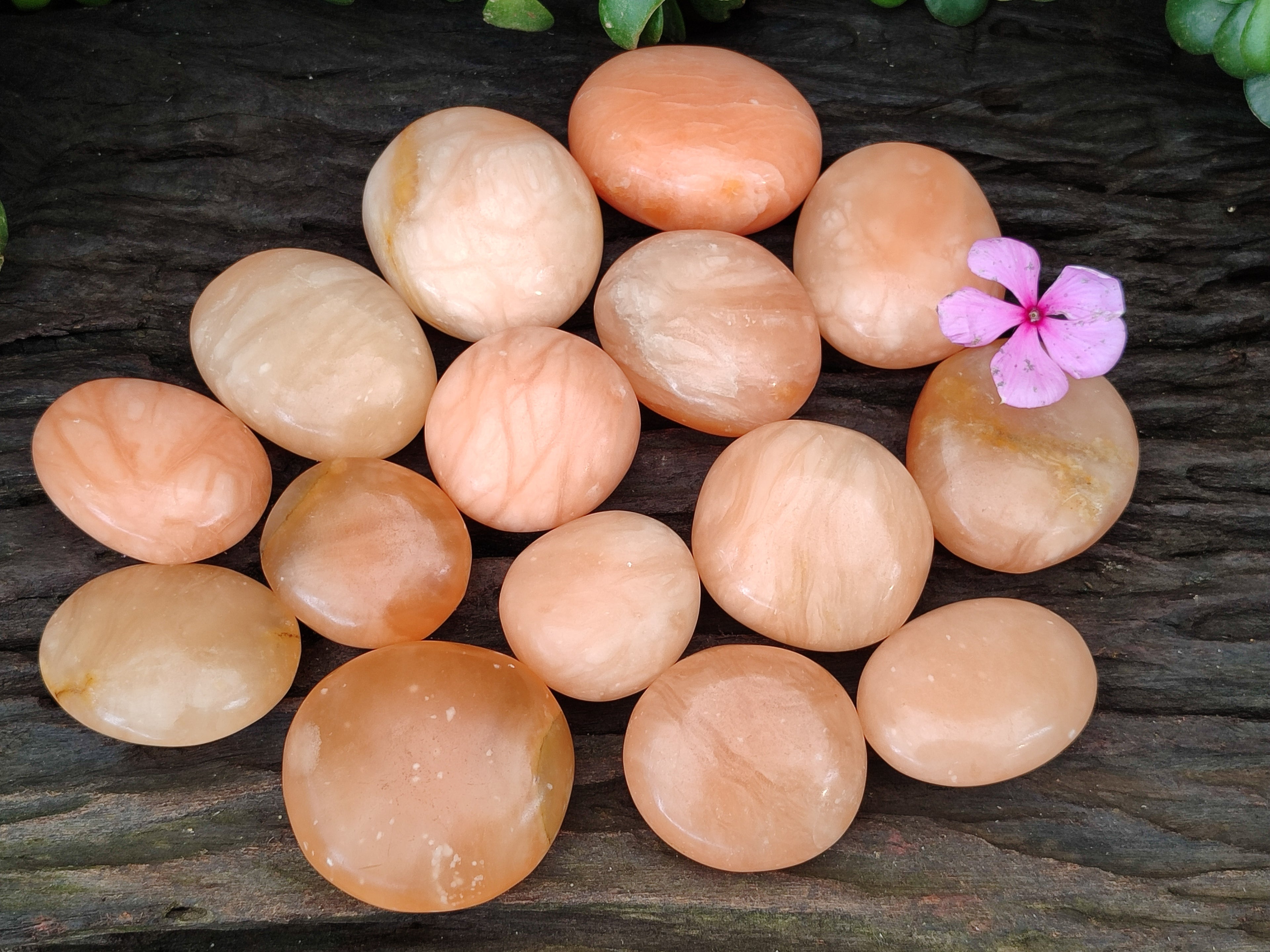 Polished Orange Twist Calcite Leaf Palm Stones x 25 From Maevantanana, Madagascar - Toprock Gemstones and Minerals 