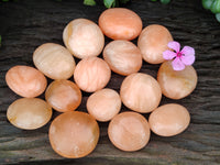 Polished Orange Twist Calcite Leaf Palm Stones x 25 From Maevantanana, Madagascar