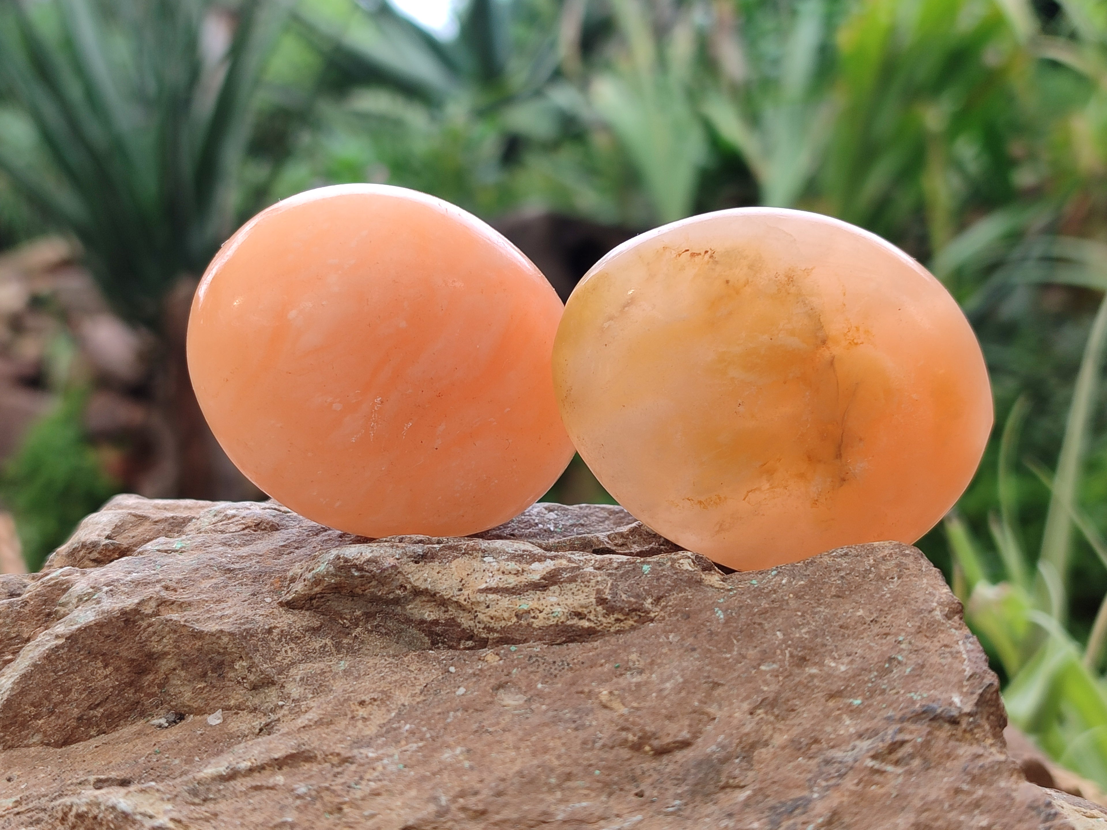 Polished Orange Twist Calcite Leaf Palm Stones x 25 From Maevantanana, Madagascar - Toprock Gemstones and Minerals 