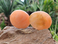 Polished Orange Twist Calcite Leaf Palm Stones x 25 From Maevantanana, Madagascar