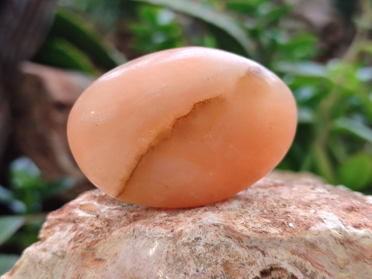 Polished Orange Twist Calcite Leaf Palm Stones x 25 From Maevantanana, Madagascar - Toprock Gemstones and Minerals 