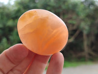 Polished Orange Twist Calcite Leaf Palm Stones x 25 From Maevantanana, Madagascar