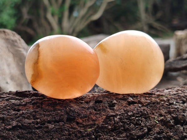 Polished Orange Twist Calcite Leaf Palm Stones x 25 From Maevantanana, Madagascar