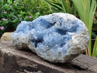 Natural Celestite Geode Specimens x 1 From Sakoany, Madagascar