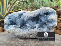 Natural Celestite Geode Specimens x 1 From Sakoany, Madagascar