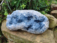 Natural Celestite Geode Specimens x 1 From Sakoany, Madagascar