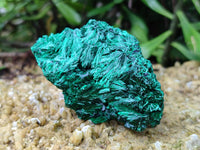 Natural Silky Malachite Specimens x 6 From Kasompe, Congo - Toprock Gemstones and Minerals 