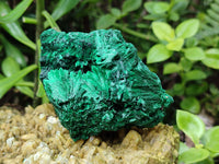 Natural Silky Malachite Specimens x 6 From Kasompe, Congo - Toprock Gemstones and Minerals 