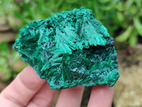 Natural Silky Malachite Specimens x 6 From Kasompe, Congo - Toprock Gemstones and Minerals 