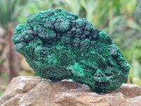 Natural Silky Malachite Specimens x 6 From Kasompe, Congo - Toprock Gemstones and Minerals 