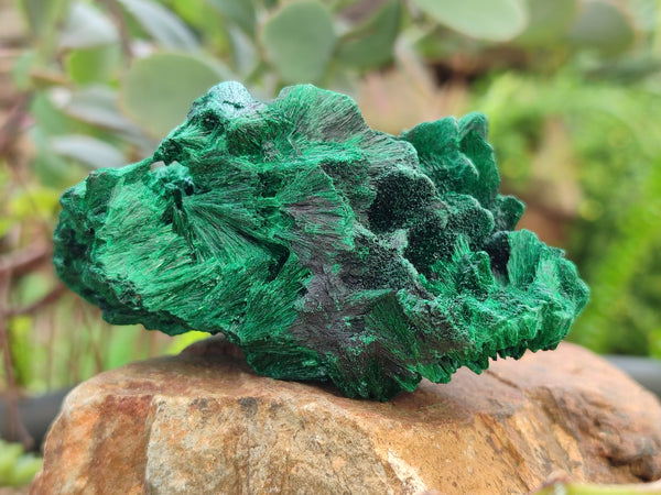 Natural Silky Malachite Specimens x 6 From Kasompe, Congo - Toprock Gemstones and Minerals 
