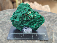 Natural Silky Malachite Specimens x 6 From Kasompe, Congo - Toprock Gemstones and Minerals 