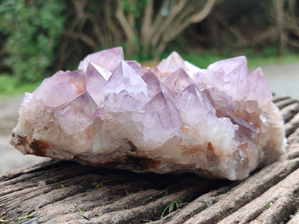Natural Ametrine Spirit Quartz Clusters x 2 From Boekenhouthoek, South Africa
