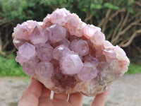 Natural Ametrine Spirit Quartz Clusters x 2 From Boekenhouthoek, South Africa