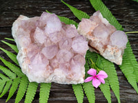 Natural Ametrine Spirit Quartz Clusters x 2 From Boekenhouthoek, South Africa