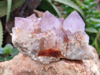 Natural Ametrine Spirit Quartz Clusters x 2 From Boekenhouthoek, South Africa