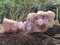 Natural Ametrine Spirit Quartz Clusters x 2 From Boekenhouthoek, South Africa