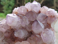 Natural Ametrine Spirit Quartz Clusters x 2 From Boekenhouthoek, South Africa